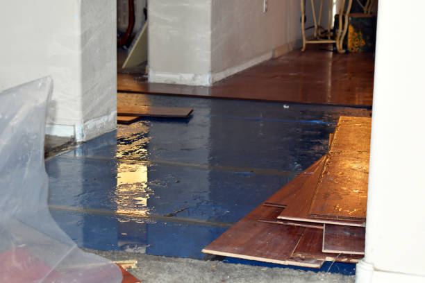 Professional Water Extraction technician working in New Paris, OH